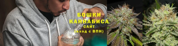 трава Армянск