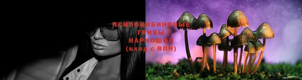 трава Армянск