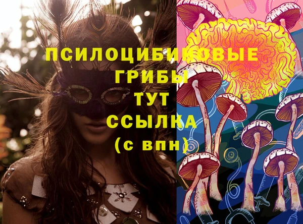 трава Армянск